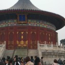 邹文桐
