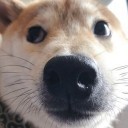 心里有底
