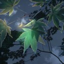 ColdMaple