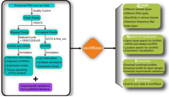 attachments-2017-10-mXEbvue959e01cffed11e.png