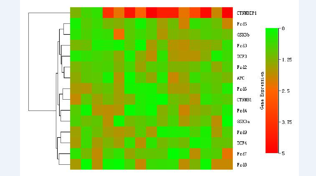 attachments-2018-08-1nk5aNgs5b766243cdf4a.