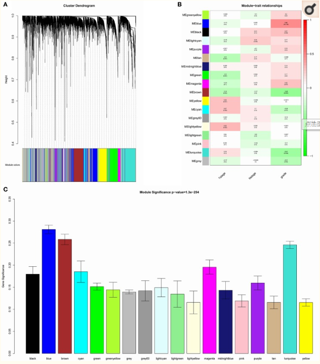 attachments-2018-10-3M8rSHSg5bc5ad1c3311d.png