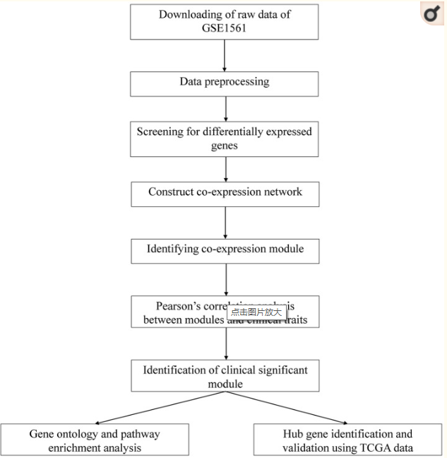 attachments-2018-10-HqlgnIHA5bc5a1a3b1ca4.png