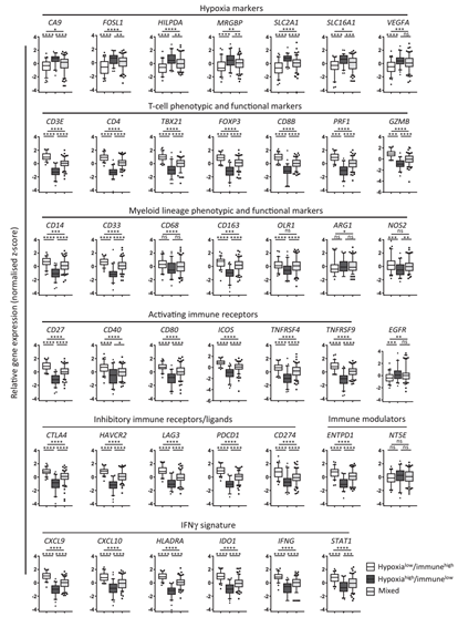 attachments-2019-11-8L17GLb65ddcb1a9e53b6.png