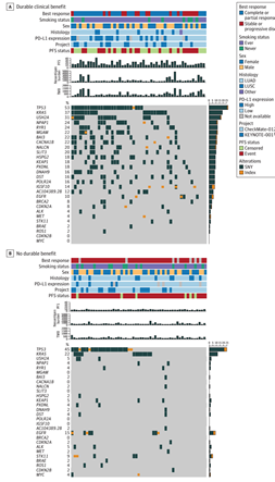 attachments-2019-11-gJJQh9kZ5ddbabde43f3d.png