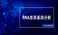 CeRNA网络构建—不同类型RNA数据的差异基因筛选 