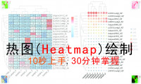 零基础-10秒钟-快速掌握-热图（Heatmap）绘制