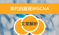 零代码复现WGCNA之文章解析