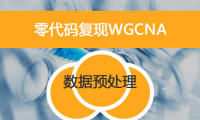 零代码复现WGCNA之数据预处理