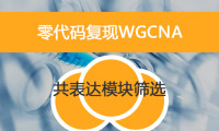 零代码复现WGCNA之共表达模块