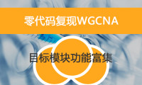 零代码复现WGCNA之目标模块功能富集