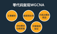 合集:零代码复现WGCNA