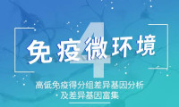 基于公开数据进行免疫微环境评分系列四